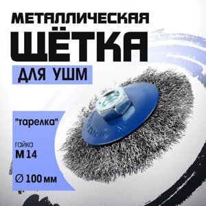 Щетка металлическая для УШМ ТУНДРА, "тарелка", М14, 100 мм