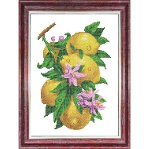 Схема для вышивки крестом «Лимон», 2330 см