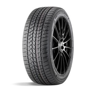 Шина зимняя нешипуемая doublestar DW02 215/60 R=16 95S