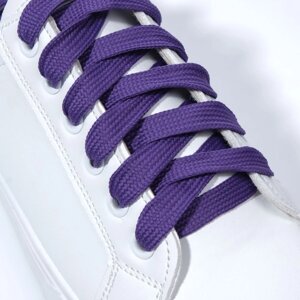 Шнурки для обуви, пара, плоские, 10 мм, 120 см, цвет фиолетовый
