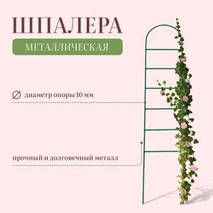 Шпалера, 140301 см, металл, зелёная, «Лестница»