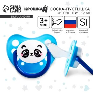 Соска - пустышка силиконовая ортодонтическая «Панда», от 3 мес., цвет голубой