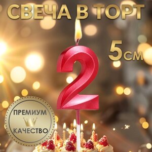 Свеча в торт на шпажке «Грань», цифра "2", 5 х 3.5 см, красная