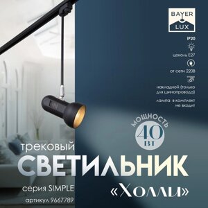 Светильник трековый "Холли" Е27 40Вт черный 15х9х40см