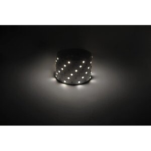 Светодиодная лента эра 12в, SMD5050, 5 м, IP20, 7.2вт/м, 30 LED/м, 4000к