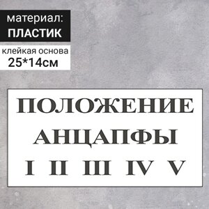 Табличка «Положение анцапфы», 250140 мм