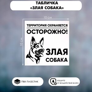 Табличка «ЗЛАЯ СОБАКА» 100100, клейкая основа