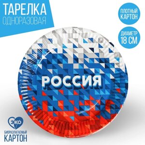 Тарелка бумажная «Россия»