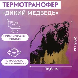 Термотрансфер «Дикий медведь», 18,6 20,3 см