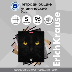 Тетрадь 96 листов в клетку, ErichKrause, Cats, обложка мелованный картон, матовая ламинация, выборочный УФ-лак, блок офсет 100% белизна, МИКС (1 вид в спайке)