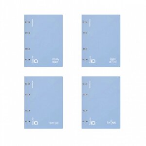 Тетрадь на кольцах А5 100 листов клетка ErichKrause IQ FineLine Symbol пластиковая обложка голубой, блок офсет 80 г/м²белизна 100% микс