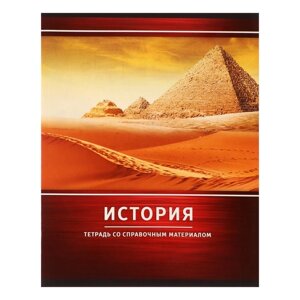 Тетрадь предметная Calligrata "Металл", 48 листов в клетку История, со справочным материалом, обложка мелованный картон, блок №2, белизна 75%серые листы)