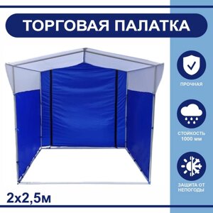 Торгово-выставочная палатка ТВП-2,02,5 м, цвет сине-белый