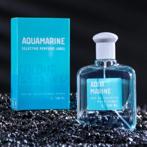 Туалетная вода мужская Colour ssncs Aquamarin, 100 мл (по мотивам Acqua Di Gio (G. Armani)