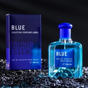 Туалетная вода мужская Colour ssncs Blu, 100 мл (по мотивам Blue Seduction (A. Banderas)