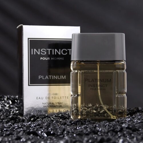 Туалетная вода мужская Instinct Platinum, 100 мл (по мотивам Egoiste Platinum (Chanel)