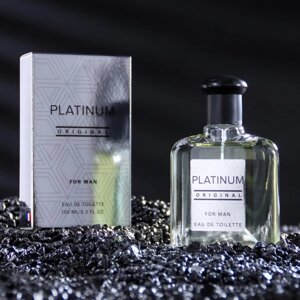 Туалетная вода мужская Platinum Original, 100 мл (по мотивам Egoiste Platinum (Chanel)