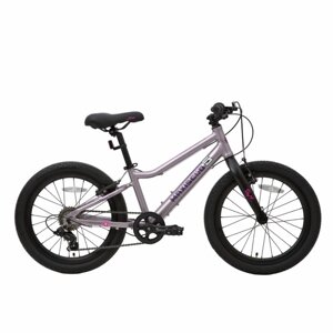 Велосипед 20 Maxiscoo 5BIKE, цвет Розовый Сапфир, размер L