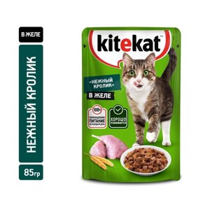 Влажный корм KiteKat для кошек, нежный кролик в желе, 85 г