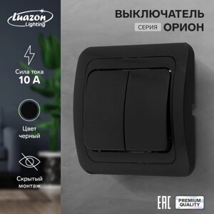 Выключатель Luazon Lighting "Орион", 10 А, 2 клавиши, скрытый, черный