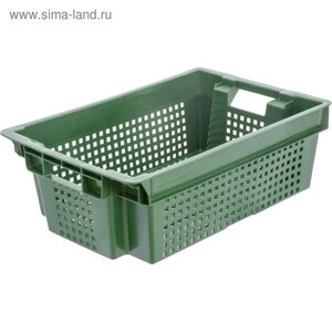 Ящик овощной, конусный, перфорированный, 600х400х200 зеленый, вес 1,4 кг