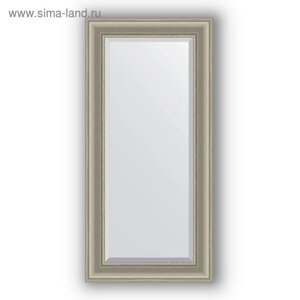 Зеркало с фацетом в багетной раме - хамелеон 88 мм, 56 х 116 см, Evoform