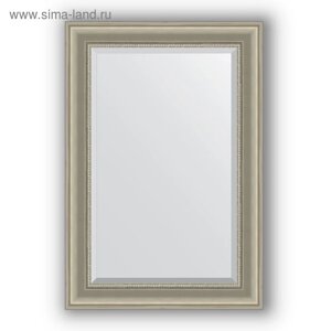 Зеркало с фацетом в багетной раме - хамелеон 88 мм, 66 х 96 см, Evoform