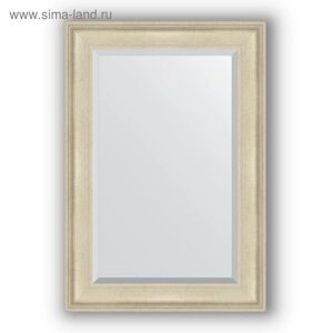 Зеркало с фацетом в багетной раме - травленое серебро 95 мм, 68 х 98 см, Evoform