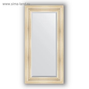 Зеркало с фацетом в багетной раме - травленое серебро 99 мм, 59 х 119 см, Evoform