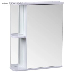 Зеркало-шкаф для ванной комнаты "Тура 5500", с двумя полками, 55 х 15,4 х 70 см