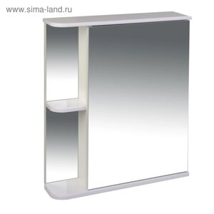 Зеркало-шкаф для ванной комнаты "Тура" З. 00-6000, 15,4 х 60 х 70 см