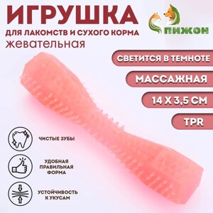 Жевательная игрушка для собак ПИЖОН "Чистилка", массажная, 14 х 3,5, светится в темноте