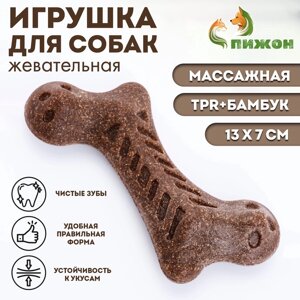 Жевательная игрушка для собак ПИЖОН "Изогнутая кость", массажная,13 х 7