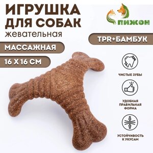 Жевательная игрушка для собак ПИЖОН "Треугольная кость", массажная, 16 х 16