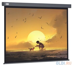 Экран Cactus 124.5x221см Wallscreen CS-PSW-124X221-SG 16:9 настенно-потолочный рулонный серый