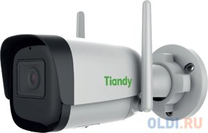 Камера видеонаблюдения IP tiandy TC-C32WN I5/Y/WIFI/2.8mm/V4.1 2.8-2.8мм цв. корп. белый (TC-C32WN I5/Y/WIFI/2.8/V4.1)