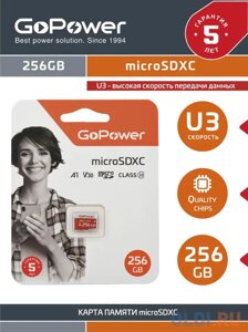 Карта памяти microSDXC 256 ГбGb GoPower 00-00025684