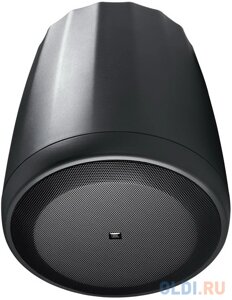 Колонки Громкоговоритель JBL C65P/T Черный