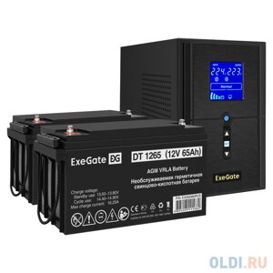 Комплект ибп EX295988RUS + батарея 65aч EX282980RUS 2шт (инвертор, синус, для котла) exegate sinetower SZ-1500. LCD. AVR. 2SH. 1C13. USB 1500VA/1200W,