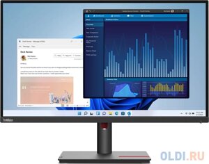 Монитор 27 Lenovo ThinkVision T27p-30