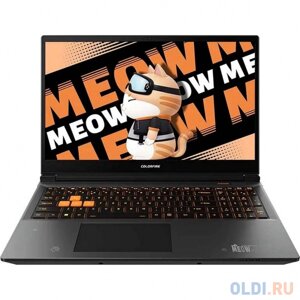 Ноутбук colorful MEOW R16 A10305000029 16