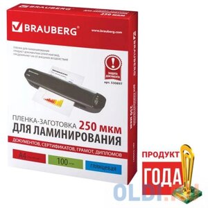 Пленки-заготовки для ламинирования BRAUBERG, комплект 100 шт., для формата А4, 250 мкм, 530897