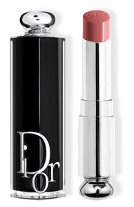 Помада для губ Dior Addict, 422 Роза Ветров (3.2g) Dior