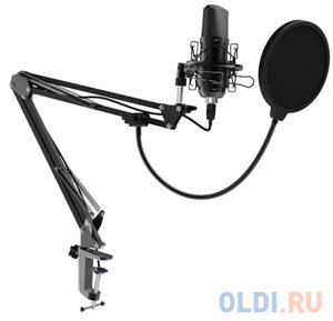 RITMIX RDM-169 Black {увствительность:42 2 дБ?1000 ?