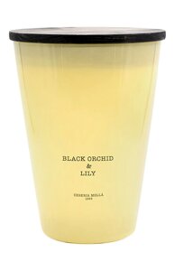 Свеча Black Orchid & Lily (3500g) Cereria Molla 1899