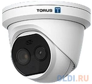 Тепловизионная камера стационарная Torus EX100-BQ-2 Разрешение 160x120, 25 Гц, 90х66,4 FoV,20~550°C