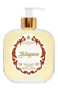 Жидкое мыло для рук Melograno (250ml) Santa Maria Novella