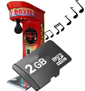 Флешка microSD 2GB для Rocky Boxer
