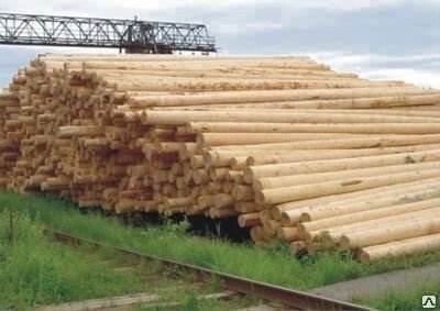 Деревянные опоры ЛЭП длиной 6м, 7м, 8.5м, 9.5м. (пропитанные) от компании ЭлМедиа Групп - фото 1