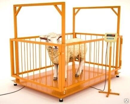 Весы платформенные МВСК С-НН-0,3 (0,75х1,0) для взвешивания животных от компании ЭлМедиа Групп - фото 1